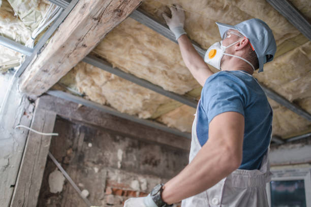 Best Specialized Insulation Services in Upton, WY