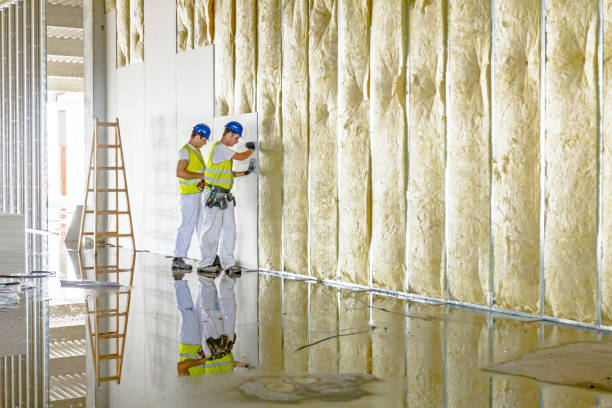 Best Insulation Maintenance and Repair in Upton, WY